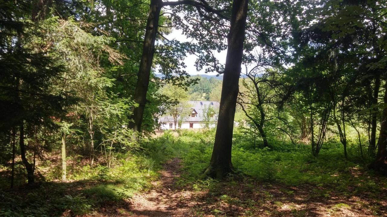 Goscinne Art- Dworek *