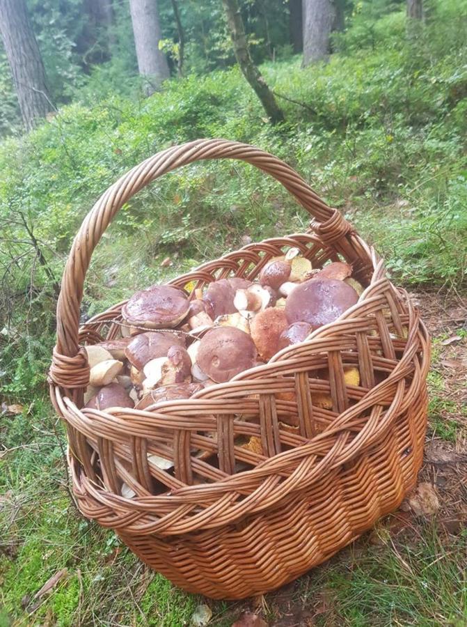 Goscinne Art- Dworek *