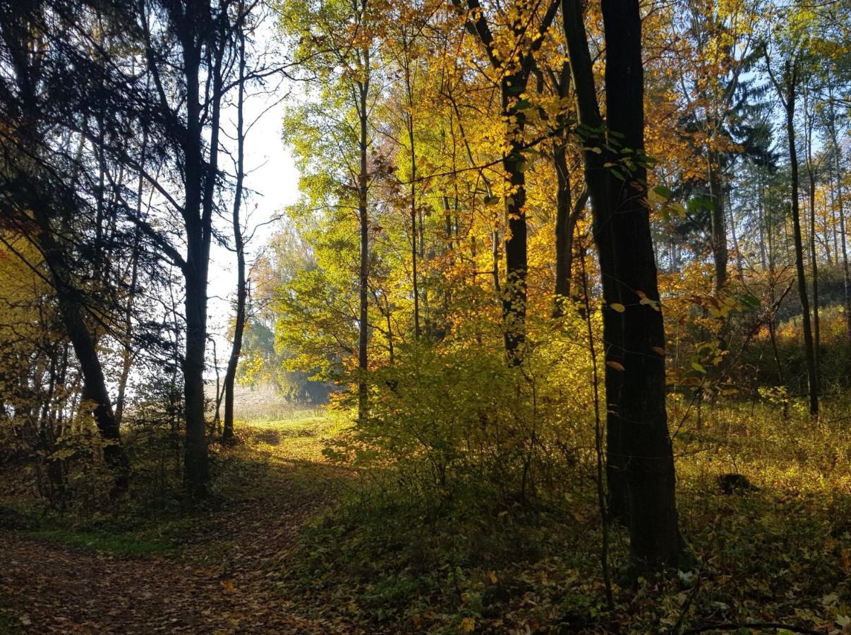Goscinne Art- Dworek Bed & Breakfast *