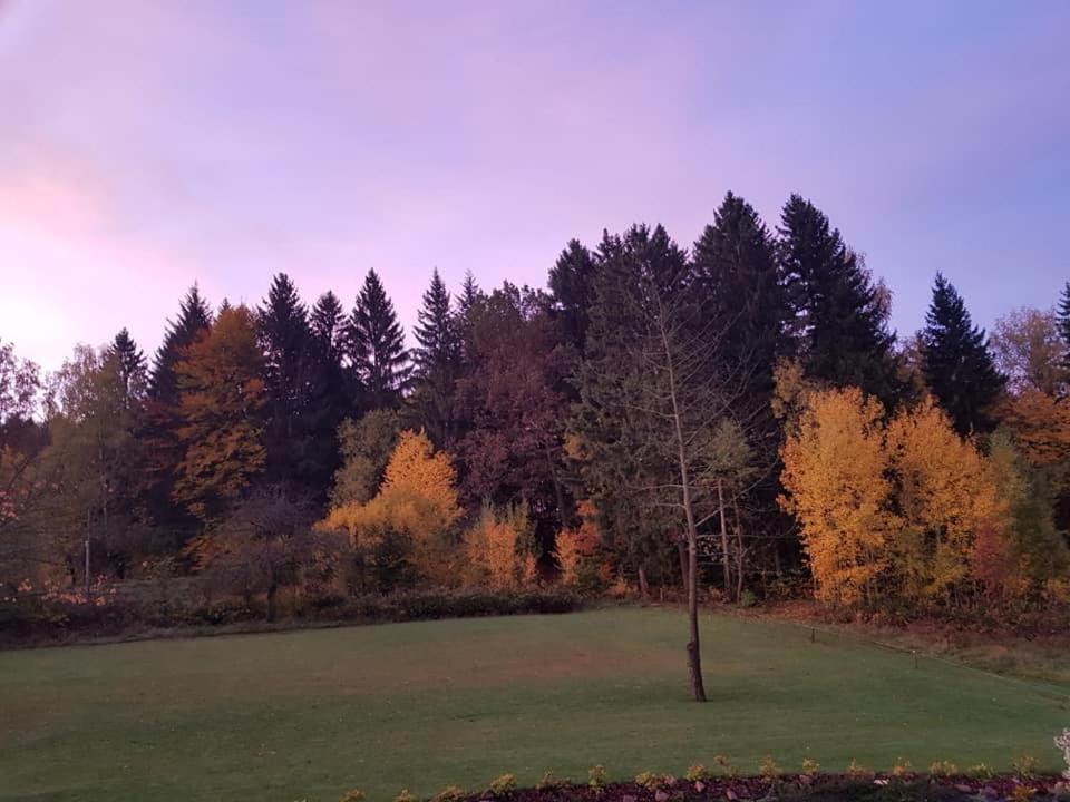 Bed & Breakfast Goscinne Art- Dworek