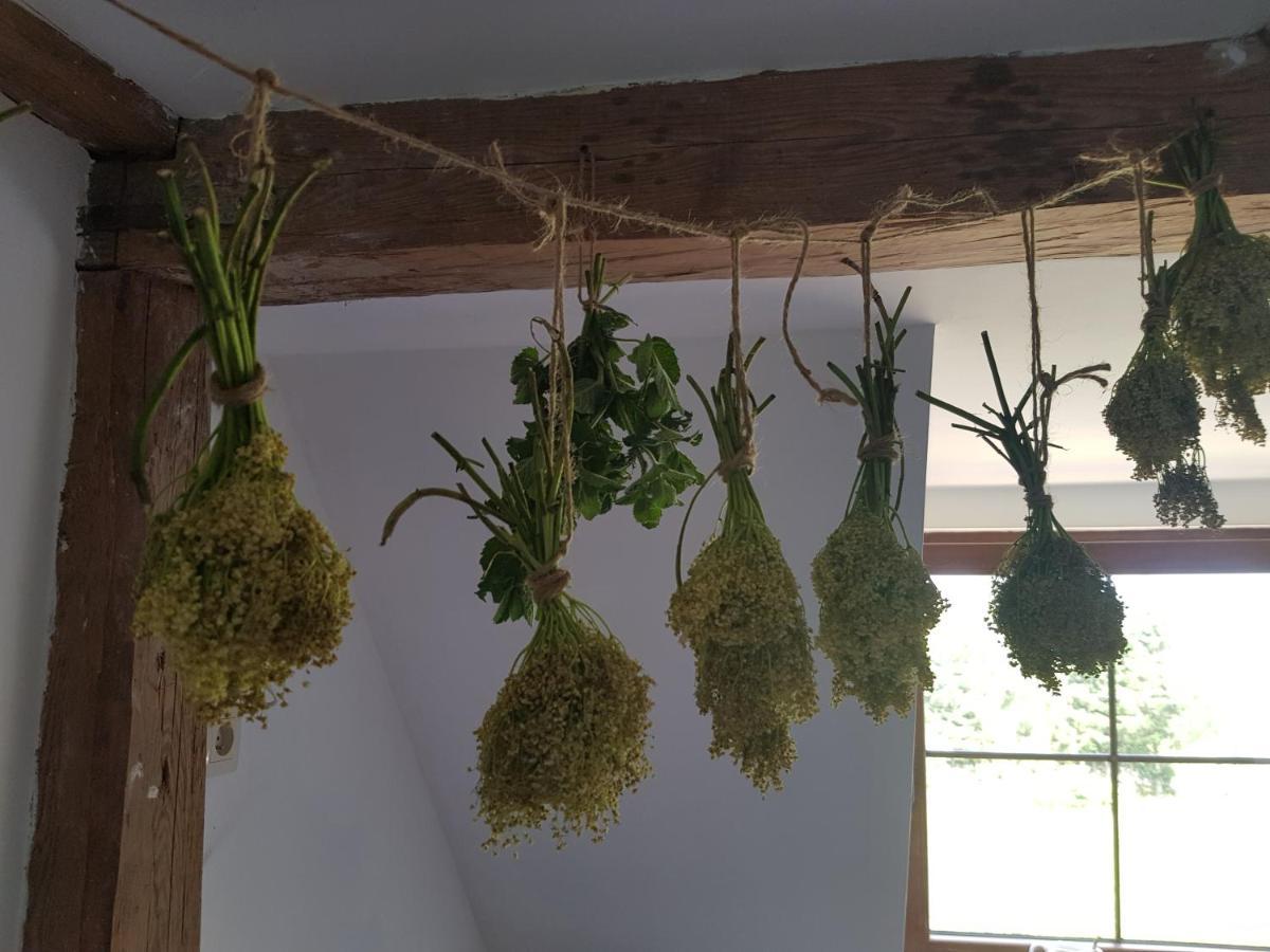 Frühstückspension Goscinne Art- Dworek
