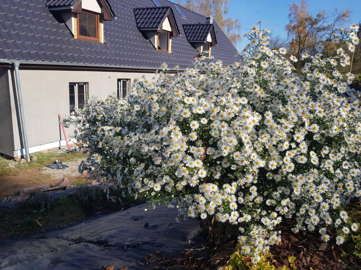 Goscinne Art- Dworek * Kudowa-Zdrój