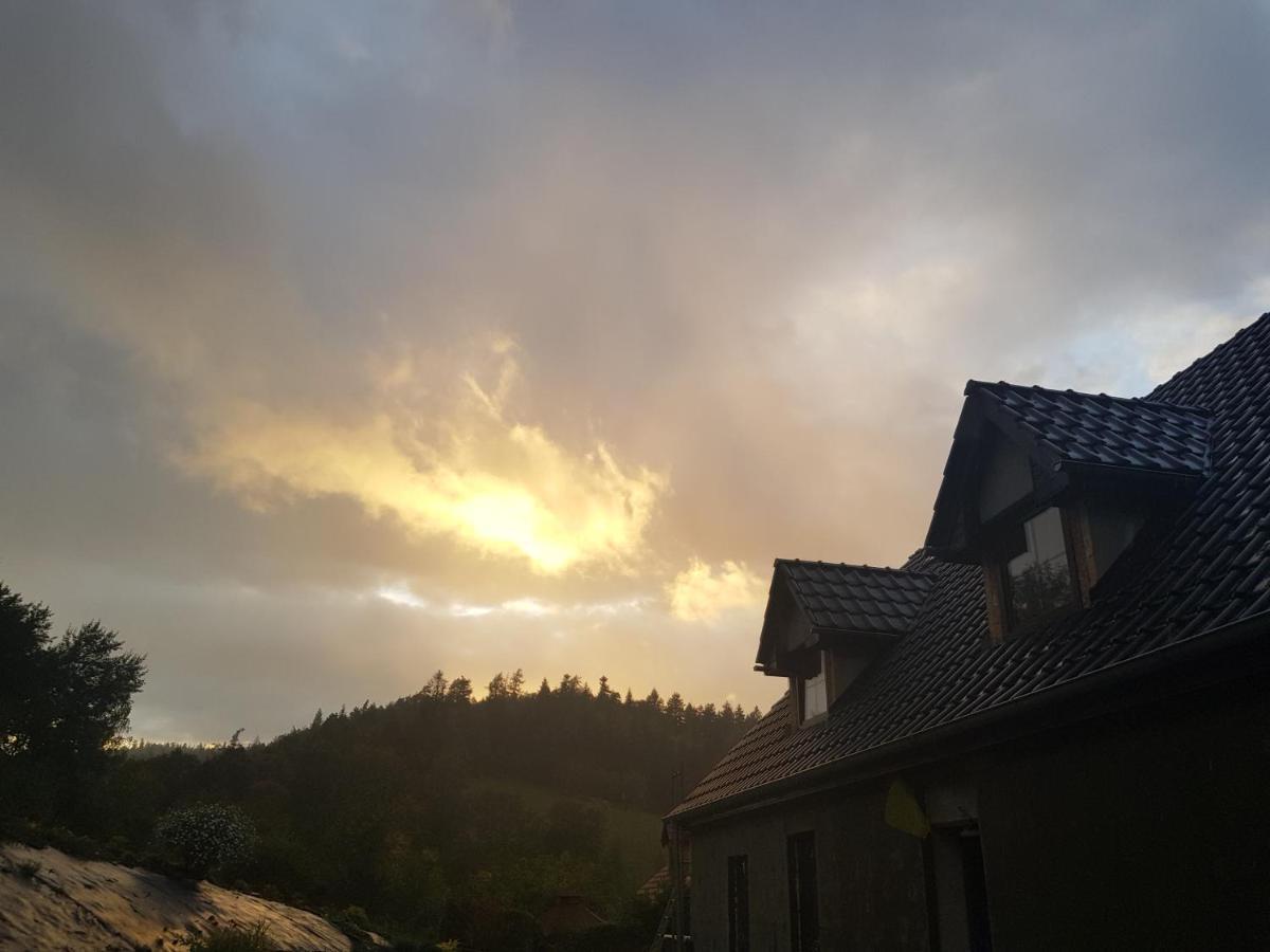 Frühstückspension Goscinne Art- Dworek