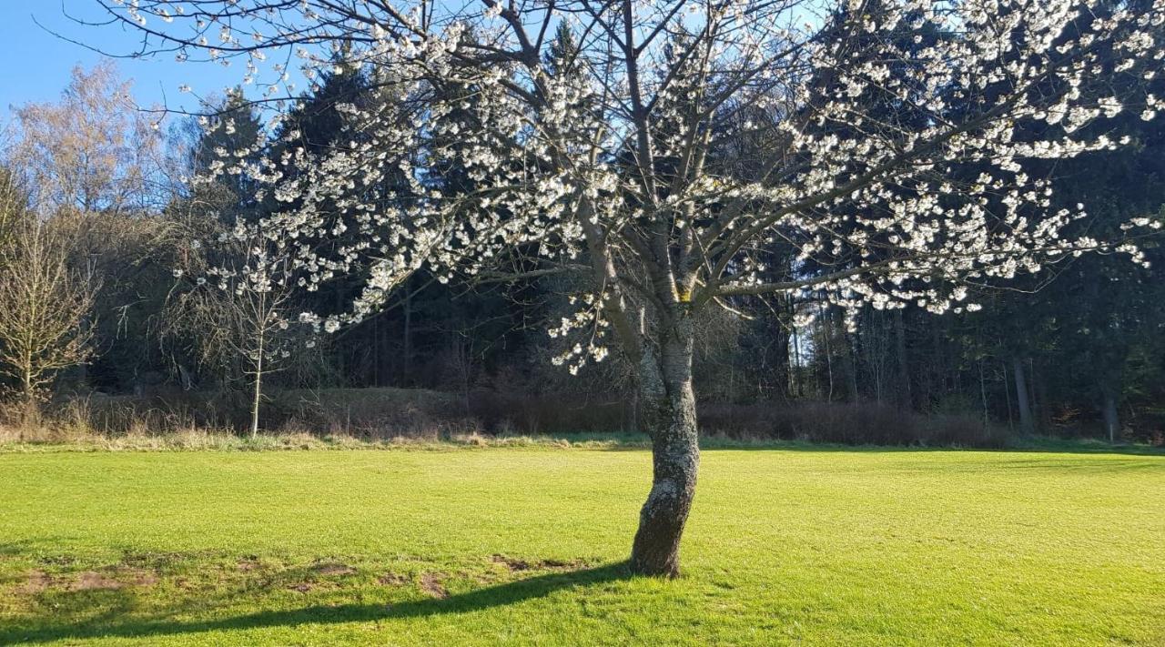 Goscinne Art- Dworek Frühstückspension Bad Kudowa