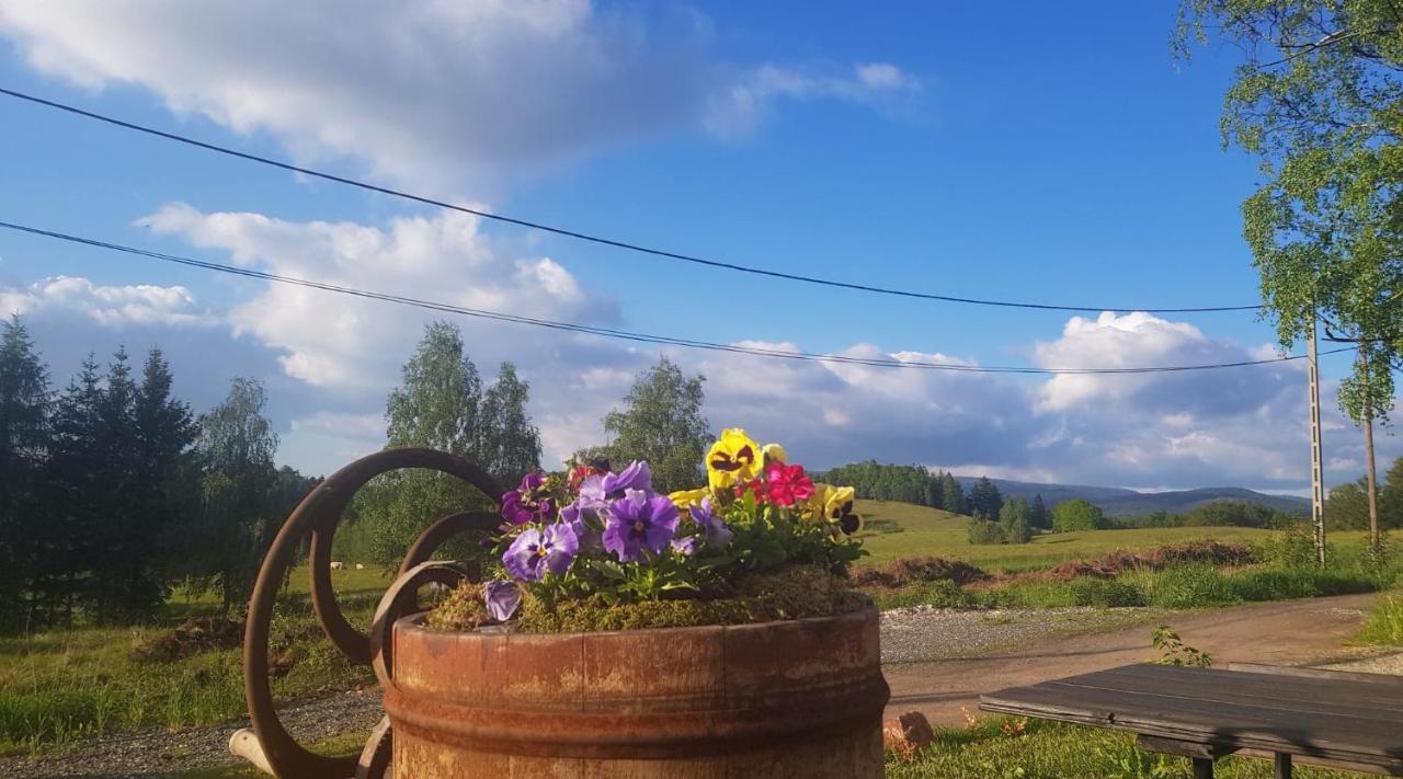Goscinne Art- Dworek