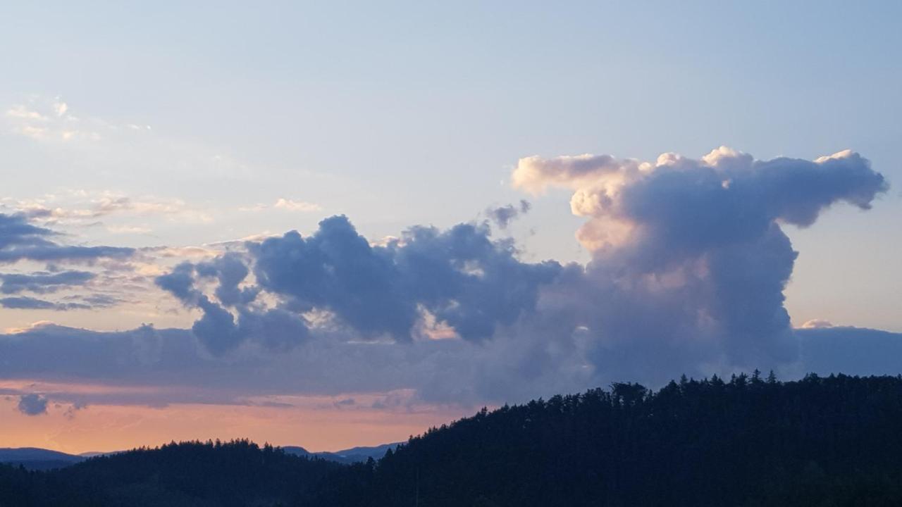 Bed & Breakfast Goscinne Art- Dworek *
