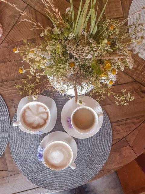 Frühstückspension Goscinne Art- Dworek *