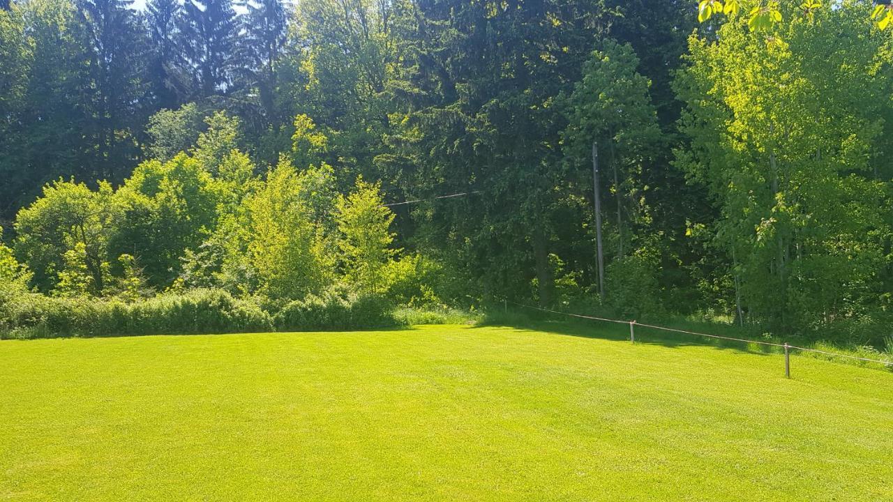 Bed & Breakfast Goscinne Art- Dworek