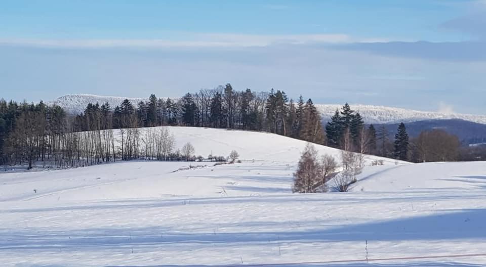 Goscinne Art- Dworek *