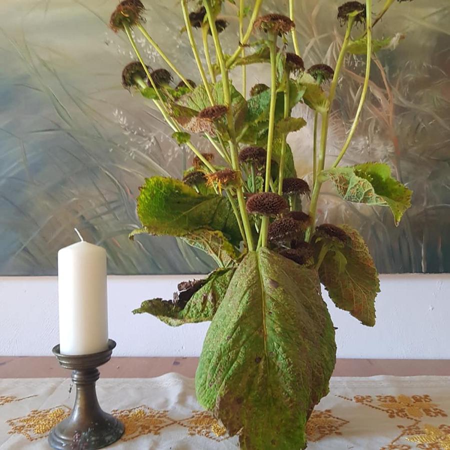 Frühstückspension Goscinne Art- Dworek *